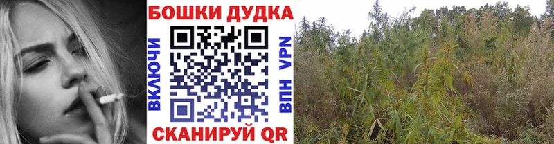 Купить закладку Кокаин СК ГАШ Каннабис МЕФ Болгар