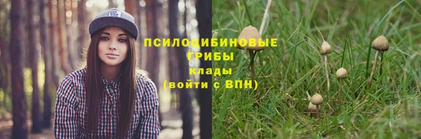 спайс Армянск